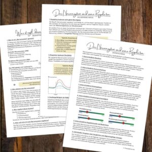 Psychoedukative Arbeitsblätter zum Nervensystem und seiner Regulation mit Erklärungen zu Aufbau, Funktionsweise und individuellen Unterschieden im Nervensystem