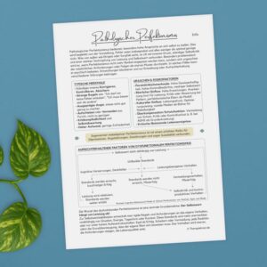 Infoblatt 