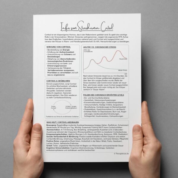 Therapeutisches Informationsblatt zu Cortisol – verständlich aufbereitete Inhalte zur Stressbiologie, Wirkung von Cortisol im Körper und praktischen Strategien zur Senkung des Cortisolspiegels