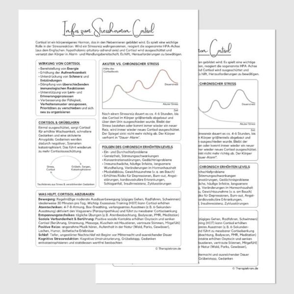 Therapeutisches Informationsblatt zu Cortisol – verständlich aufbereitete Inhalte zur Stressbiologie, Wirkung von Cortisol im Körper und praktischen Strategien zur Senkung des Cortisolspiegels